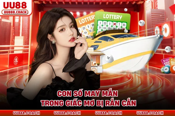 Con số may mắn trong giấc mơ bị rắn cắn
